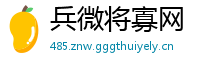 兵微将寡网